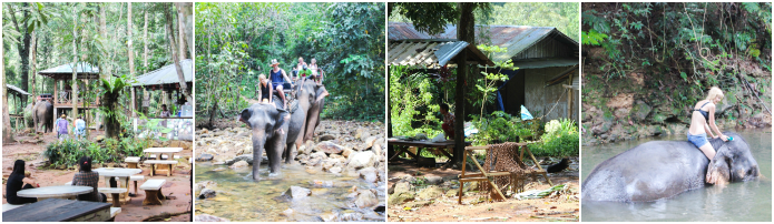 elefantencamp-elefanten-koh-chang-ban-kwan-chang-elefanten-reiten-thailand