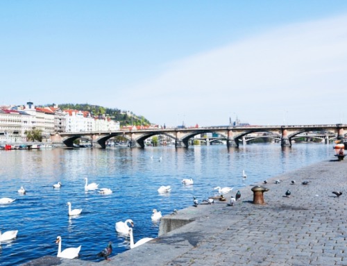 #chicchooleetravels – My Impressions of PRAGUE