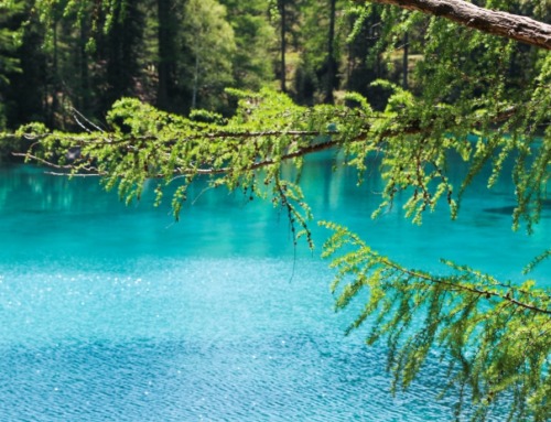 Grüner See – DAS steirische Ausflugsziel