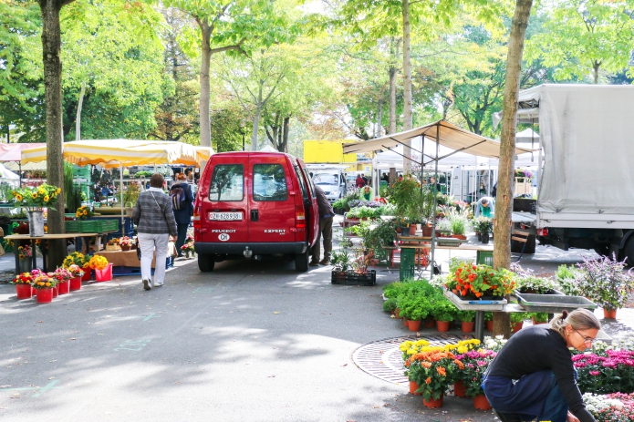 Zürich-Schweiz-Jahrmarkt-Blumenmarkt-Markt-Stadt