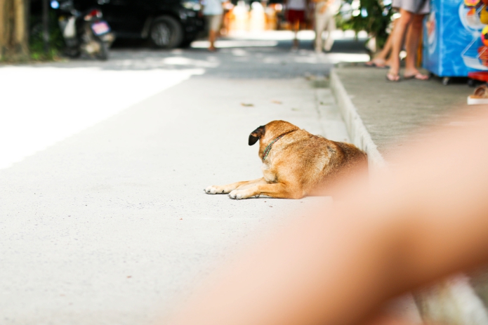 koh-phangan-thailand5