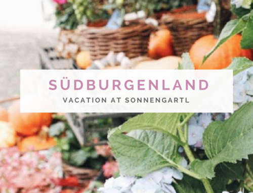Home sweet Home – Holiday in the southern Burgenland