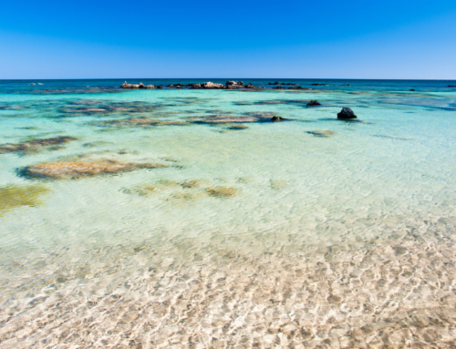 Elafonisi Strand Kreta – Strandtest mit Wissenswerten Infos und Bildern