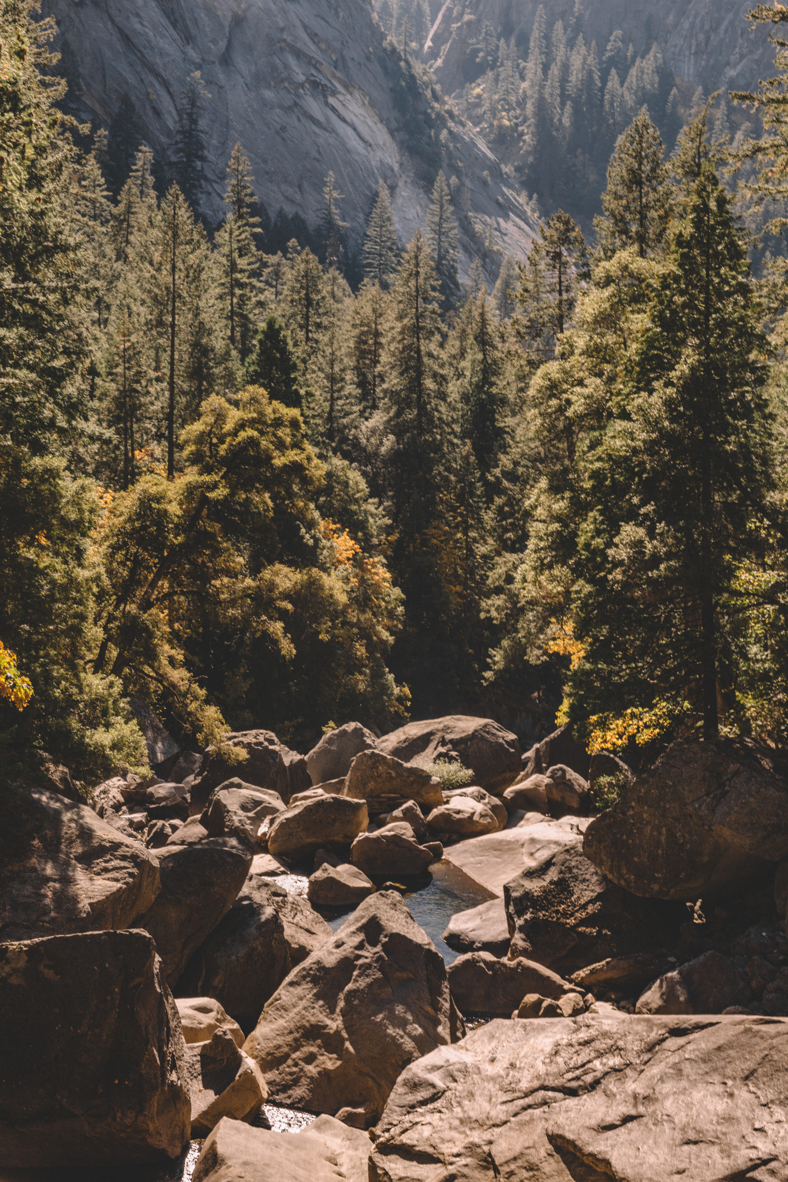 National musst alles - Yosemite Park du was wissen