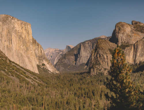 Yosemite National Park – umfangreiche Reise- und Wandertipps