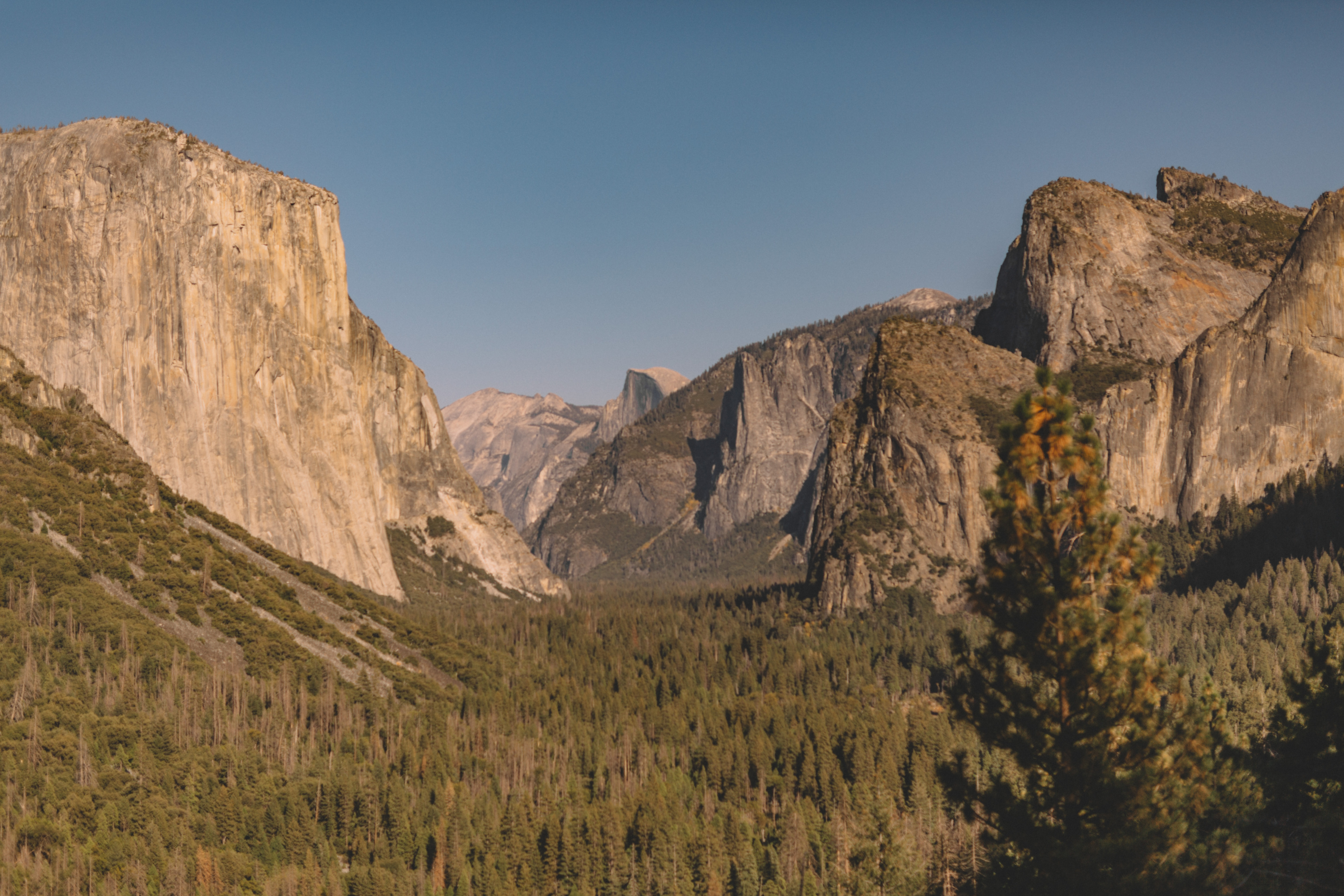 du National - alles Park was Yosemite wissen musst