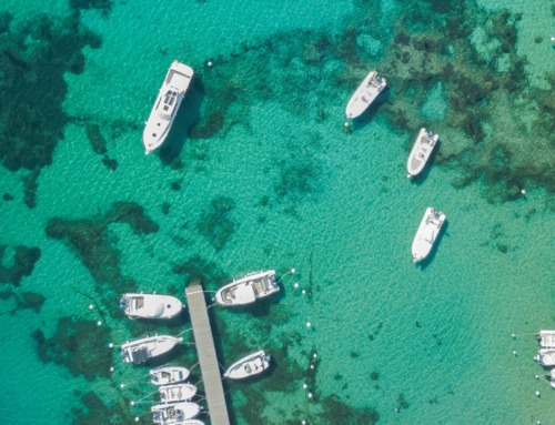 Korsika Reisetipps – 10 hilfreiche Tipps für deine Korsikareise