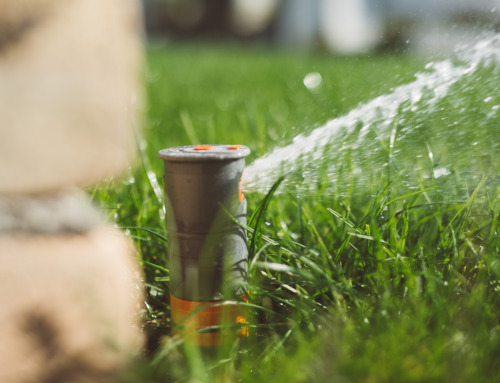 Automatische Gartenbewässerung: Tipps für Planung und Installation